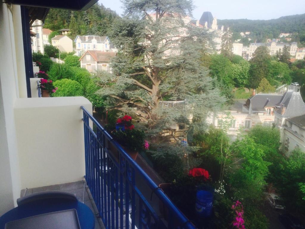 Bellevue Ξενοδοχείο Châtel-Guyon Εξωτερικό φωτογραφία